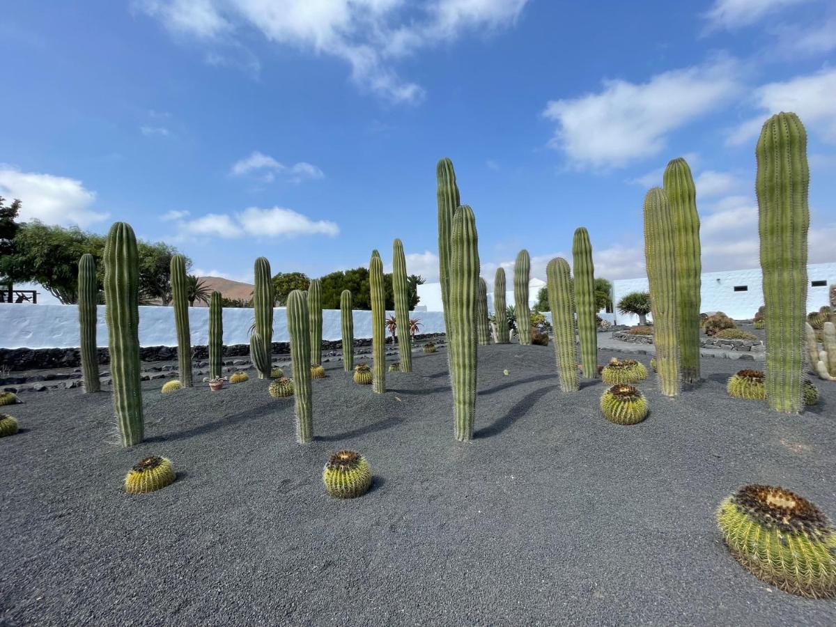 Izaro Apartamento Atico De Lujo Cerca De Playa Dorada Playa Blanca  Exterior foto